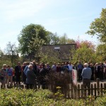 Stolpersteine voor Hermann Stein, Oostwold