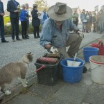 de buurkat kijkt toe !